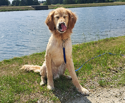 Bailey