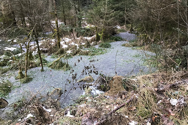 Wanderweg_Schoenau_Blog5kPQffsiFaFogr Aussichtsreicher Rundweg mit Hund: Die kleinen Sehenswürdigkeiten von Baumgarten nach Peterskirchen