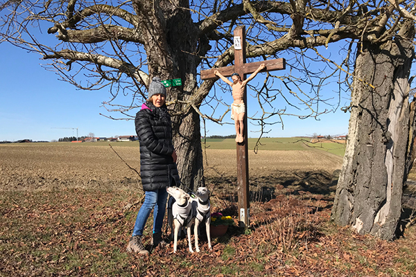 Leiky-Tann2 Wanderweg mit Hunden in Tann, Niederbayern