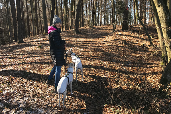 Leiky-Tann Wanderweg mit Hunden in Tann, Niederbayern
