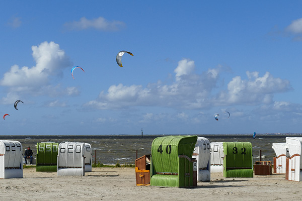Nordee_mit-Hund_Blog2 Hundewiese in Norden-Norddeich