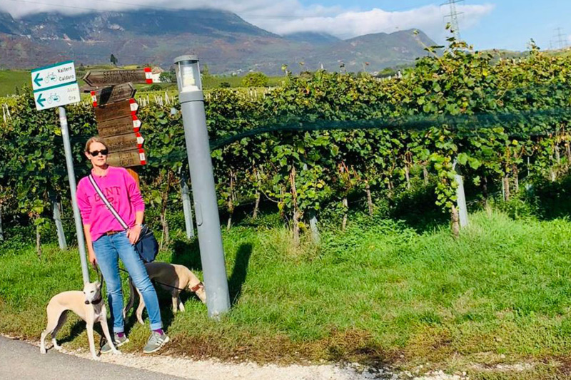 Leiky-Blog-Suedtirol4 Wandern mit Hund in Südtirol
