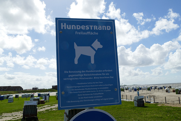 Nordee_mit-Hund_Blog3 Hundewiese in Norden-Norddeich