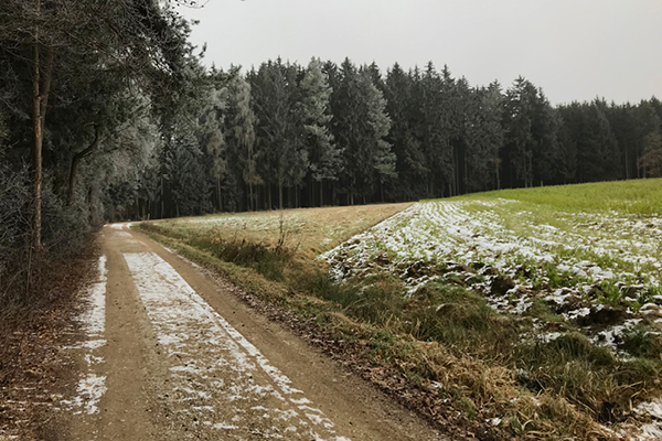 Leiky-Wanderweg-Tann-Zimmerner-Runde4 Winterwandern mit Hund im Rottal