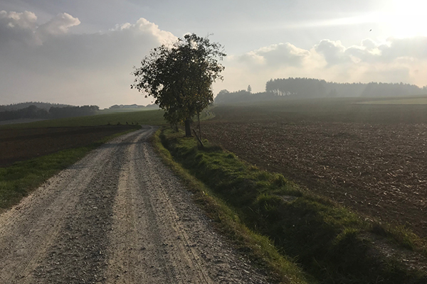 Leiky-Bleichenbach4 Wandern mit Hund - Rottal