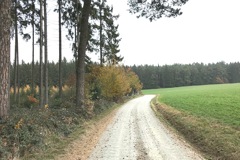 Leiky-Blog-Triftern-Lengsham_2 Wandern mit Hund im Rottal