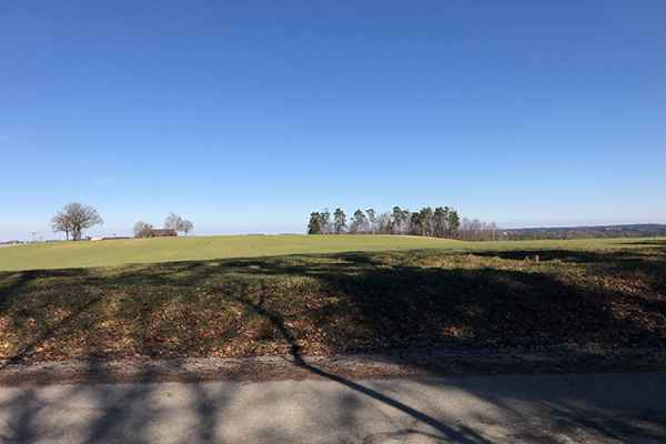 Leiky-Tann3 Wanderweg mit Hunden in Tann, Niederbayern