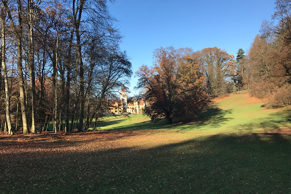 Schlosspark Schönau: Rundweg für Ihren Hund