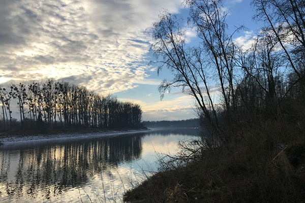Leiky-Ering4 Hundewanderung im Europareservat