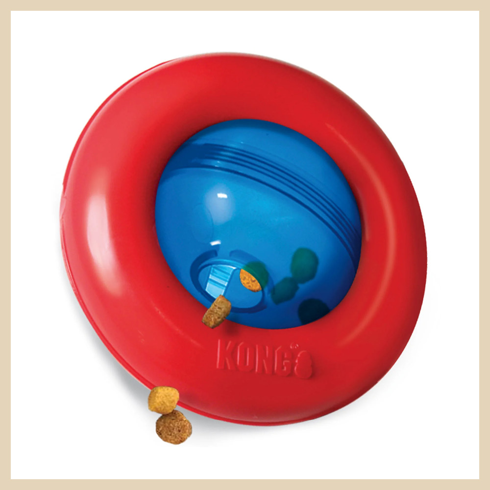 Hundespielzeug KONG® Gyro