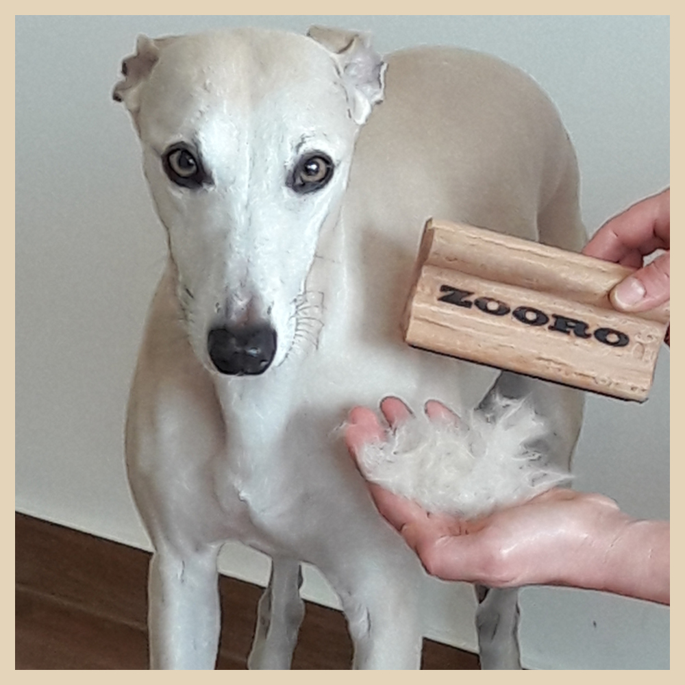 Hundekamm_Buerste_deshedder_Kamm_Zooro_Glori