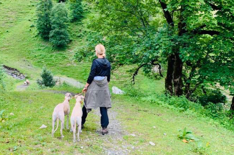 Saalbach-Wandern_Hund2 Wandern mit Hund in Österreich