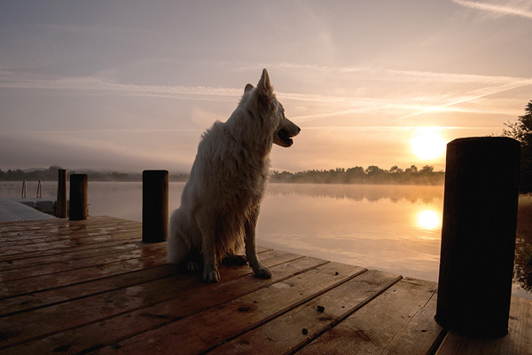 Blog_Leiky_Moldan4 Hotel mit Hund: Hotel-Urlaub unter Hundefreunden