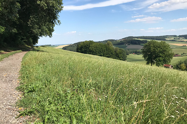 Blog_Leiky_Schwaibach Wandern im Rottal mit Hund