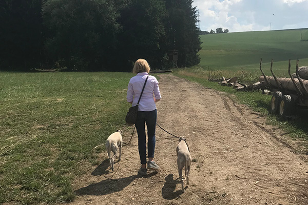 Leiky-Blog-Triftern-Thalhammer-Schlucht6 Wandern mit Hund in Niederbayern