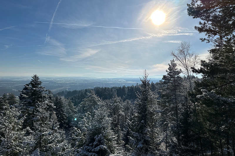 Wandern mit Hund – Rottal Wandern mit Hund – Rottal