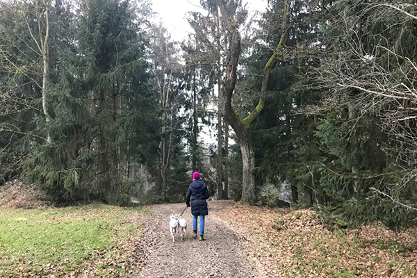 Leiky-Wanderweg-Tann-Zimmerner-Runde Winterwandern mit Hund im Rottal