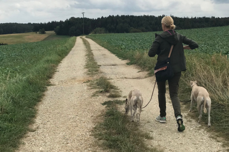 Blog_Leiky_Waldhof-Wanderweg-G4 Osterspaziergang mit Hund