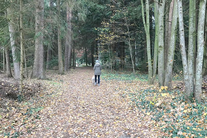 Leiky-Blog-Triftern-Lengsham_ Wandern mit Hund im Rottal