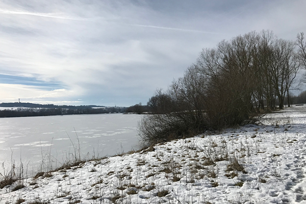 Wanderweg_Rottauensee_Blog5 Rundweg für Hunde um den Rottauensee