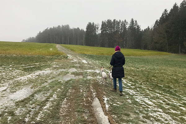 Leiky-Wanderweg-Tann-Zimmerner-Runde2 Winterwandern mit Hund im Rottal