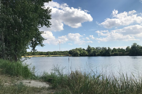 Leiky-Camping-Wien Camping mit Hund in Wien