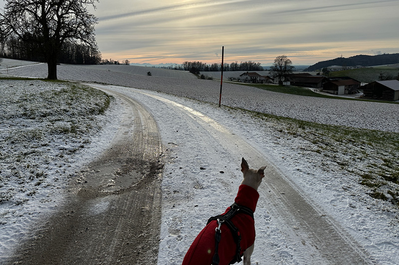 Wandern mit Hund – Rottal Wandern mit Hund – Rottal