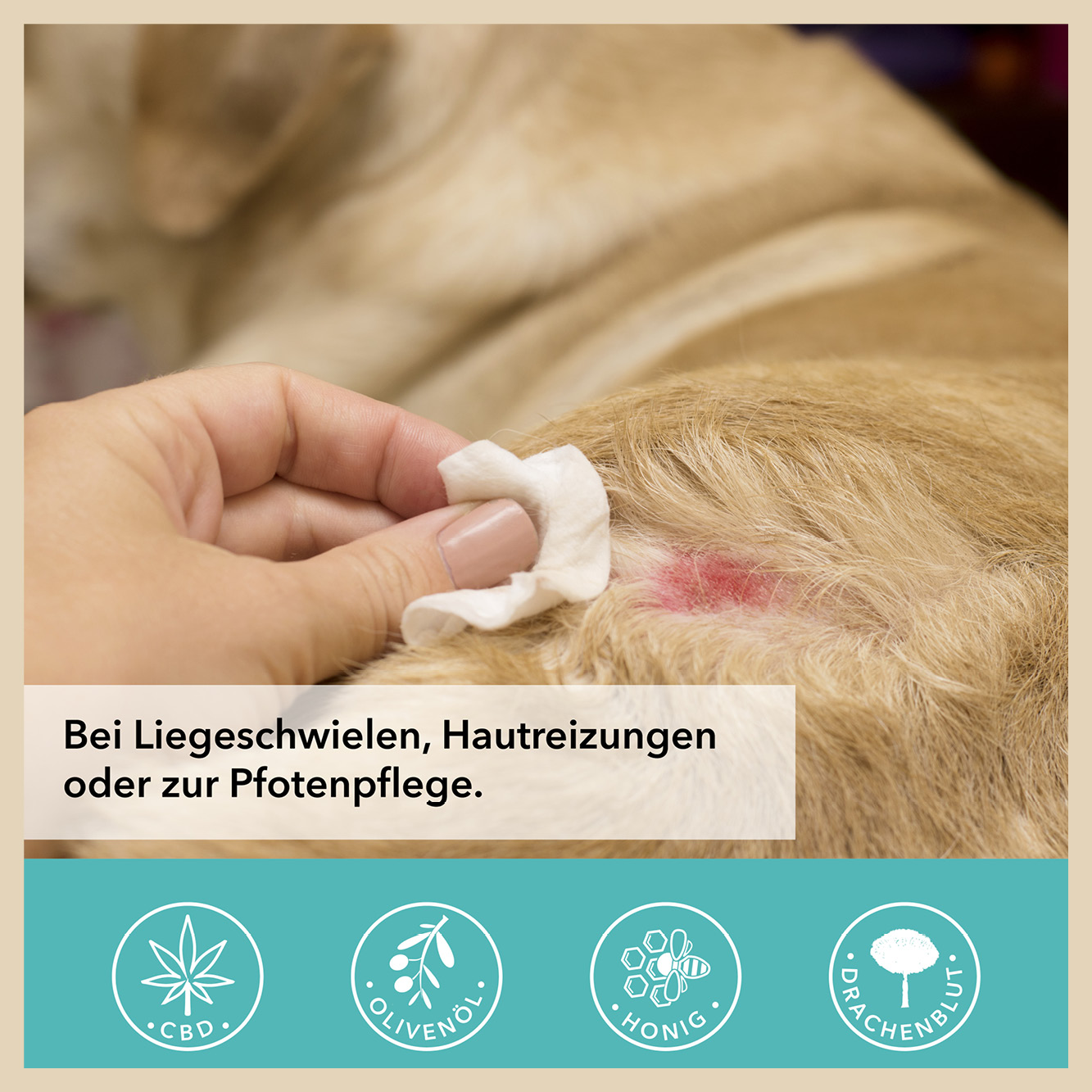 Tamacan Pet Cream, 30 ml
