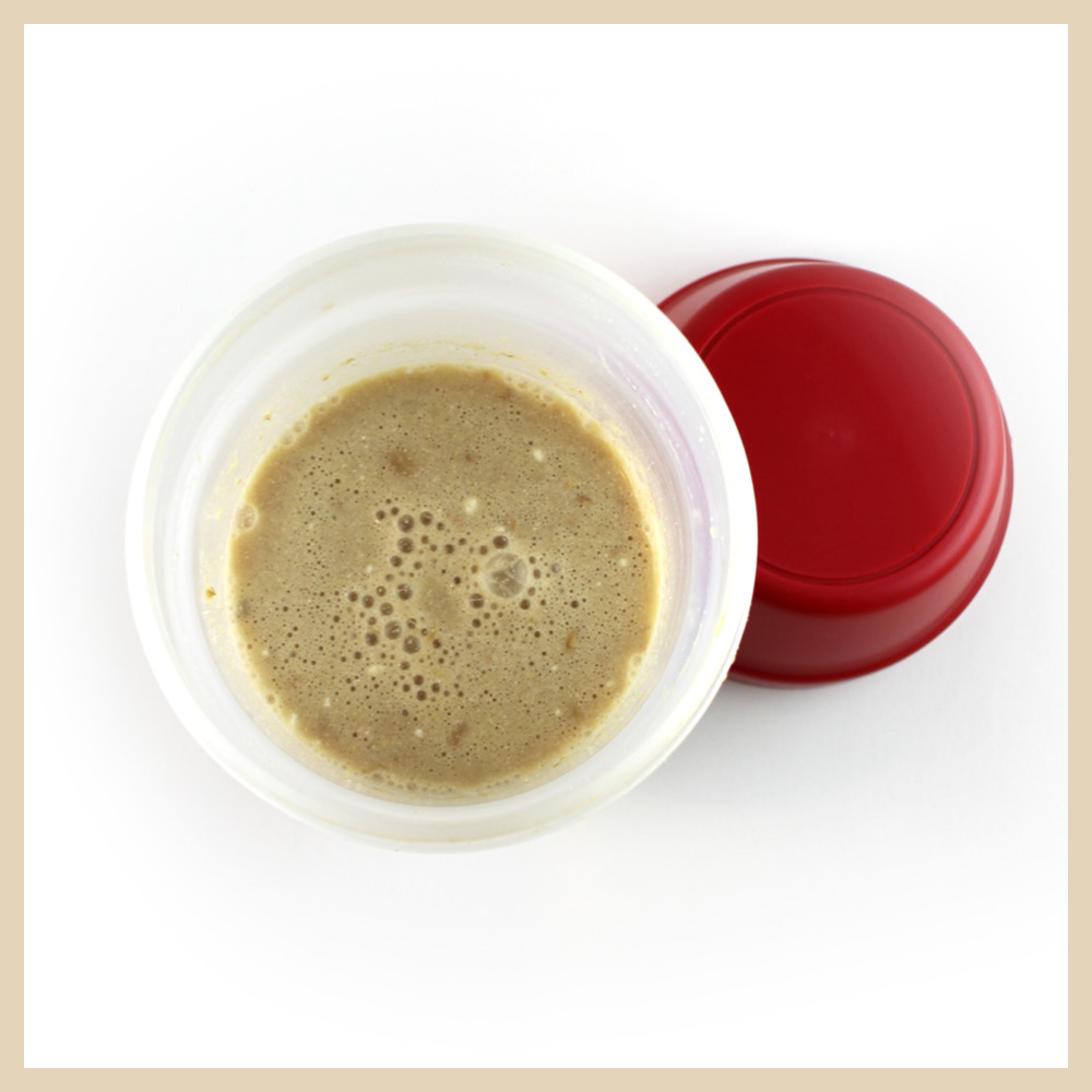 Shake_Hundefutter_Smoothie7