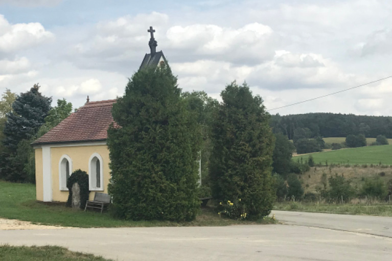 Blog_Leiky_Waldhof-Wanderweg-G5 Osterspaziergang mit Hund