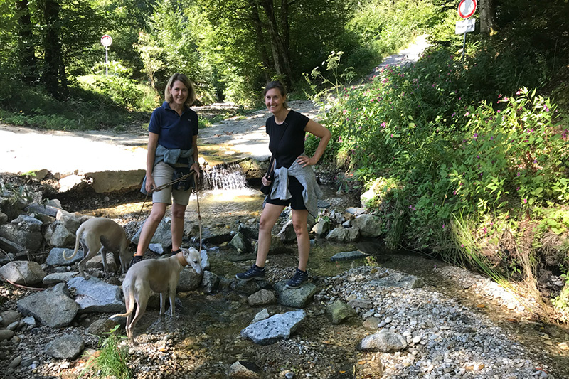Leiky-Kirchdorf2 Wandern mit Sissi und Glori im Rottal