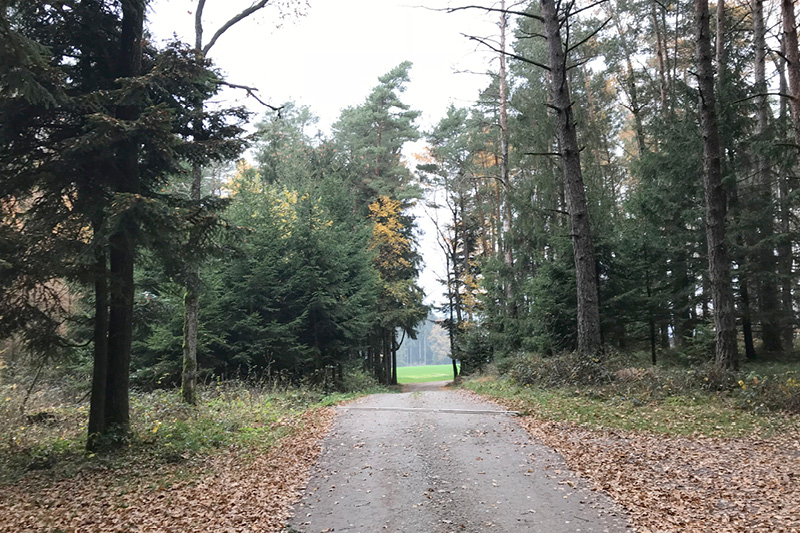 Leiky-Blog-Triftern-Lengsham_5 Wandern mit Hund im Rottal