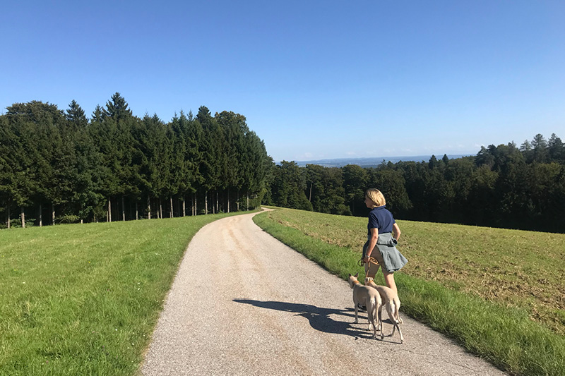 Leiky-Kirchdorf3 Wandern mit Sissi und Glori im Rottal
