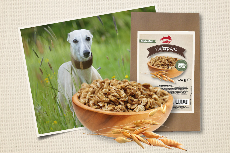 Blog_Leiky_Hafer Haferflocken gegen Durchfall beim Hund?
