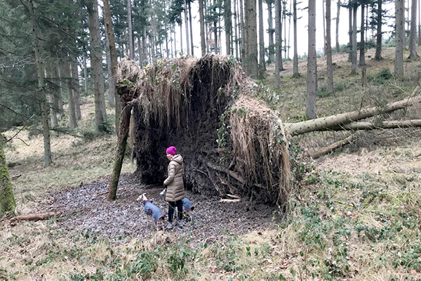 Wanderweg_Schoenau_Blog3Pjtv5xngWqEoP Aussichtsreicher Rundweg mit Hund: Die kleinen Sehenswürdigkeiten von Baumgarten nach Peterskirchen