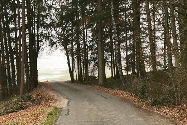 Leiky-Wanderweg-Tann-Zimmerner-Runde5 Winterwandern mit Hund im Rottal