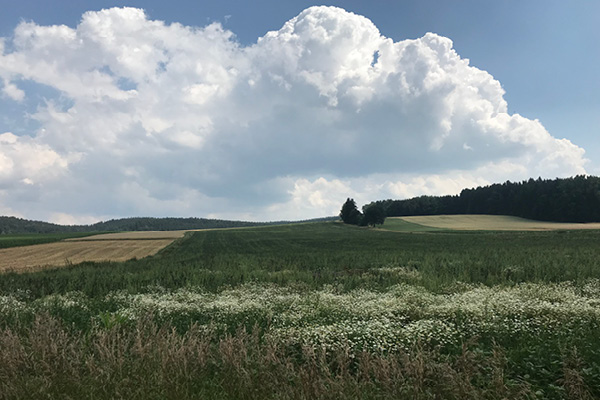 Leiky-Blog-Triftern-Thalhammer-Schlucht8 Wandern mit Hund in Niederbayern