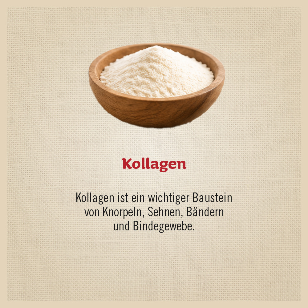 Sprungkraft