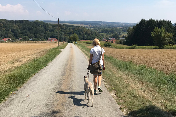 Leiky-Blog-Wanderweg-1-Brombach Sommerwanderung mit Hund rund um Brombach