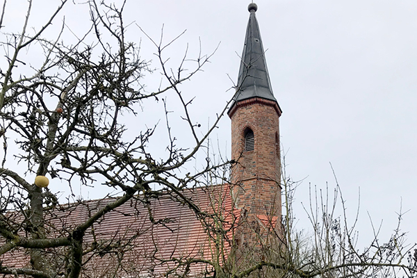 Wanderweg_Schoenau_Blog Aussichtsreicher Rundweg mit Hund: Die kleinen Sehenswürdigkeiten von Baumgarten nach Peterskirchen
