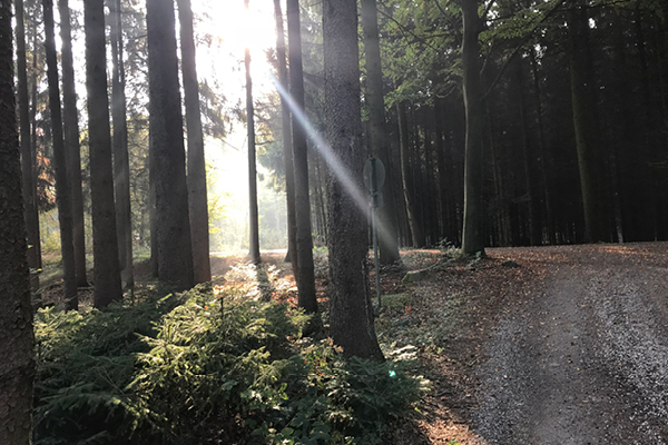 Leiky-Bleichenbach2 Wandern mit Hund - Rottal