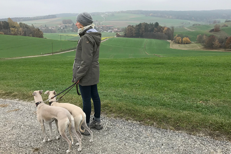 Leiky-Blog-Triftern-Lengsham_3 Wandern mit Hund im Rottal