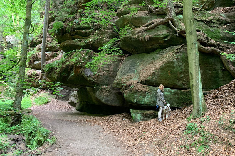 Wanderweg-Saechsische-Schweiz-_Blog2 Wandern mit Hund in der sächsischen Schweiz