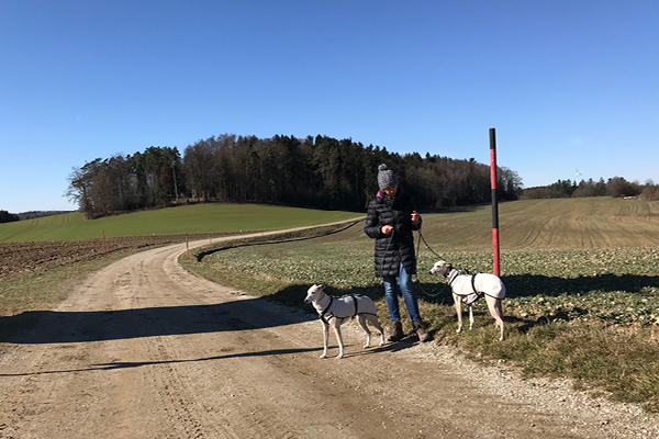 Leiky-Tann5 Wanderweg mit Hunden in Tann, Niederbayern