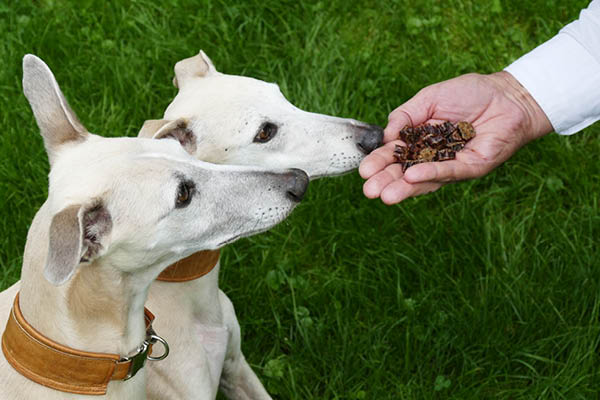 Blog_Leiky_Jausenwuerstl2 Hundefutter unterwegs