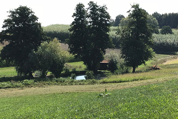 Leiky-Blog-Wanderweg-1-Brombach5 Sommerwanderung mit Hund rund um Brombach