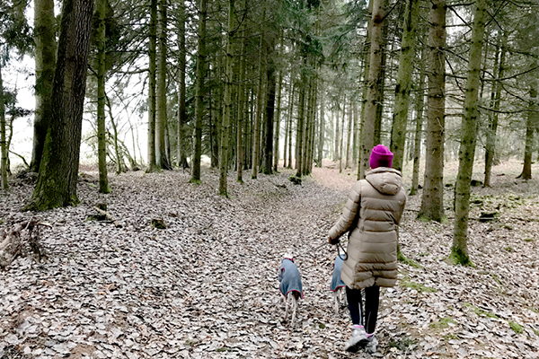 Wanderweg_Schoenau_Blog4 Aussichtsreicher Rundweg mit Hund: Die kleinen Sehenswürdigkeiten von Baumgarten nach Peterskirchen