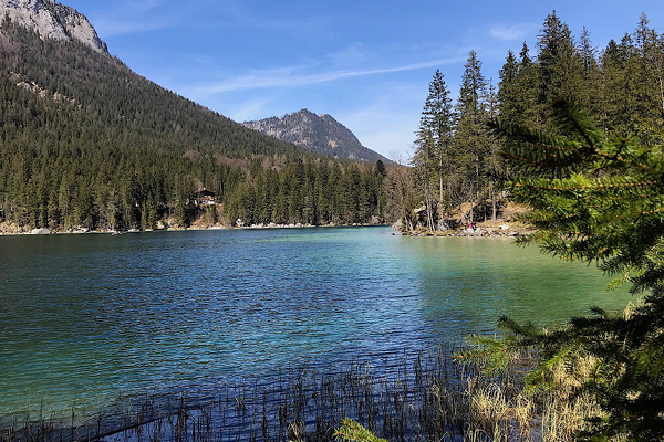 Leiky-Hintersee4 Wandern mit Hund in Berchtesgaden