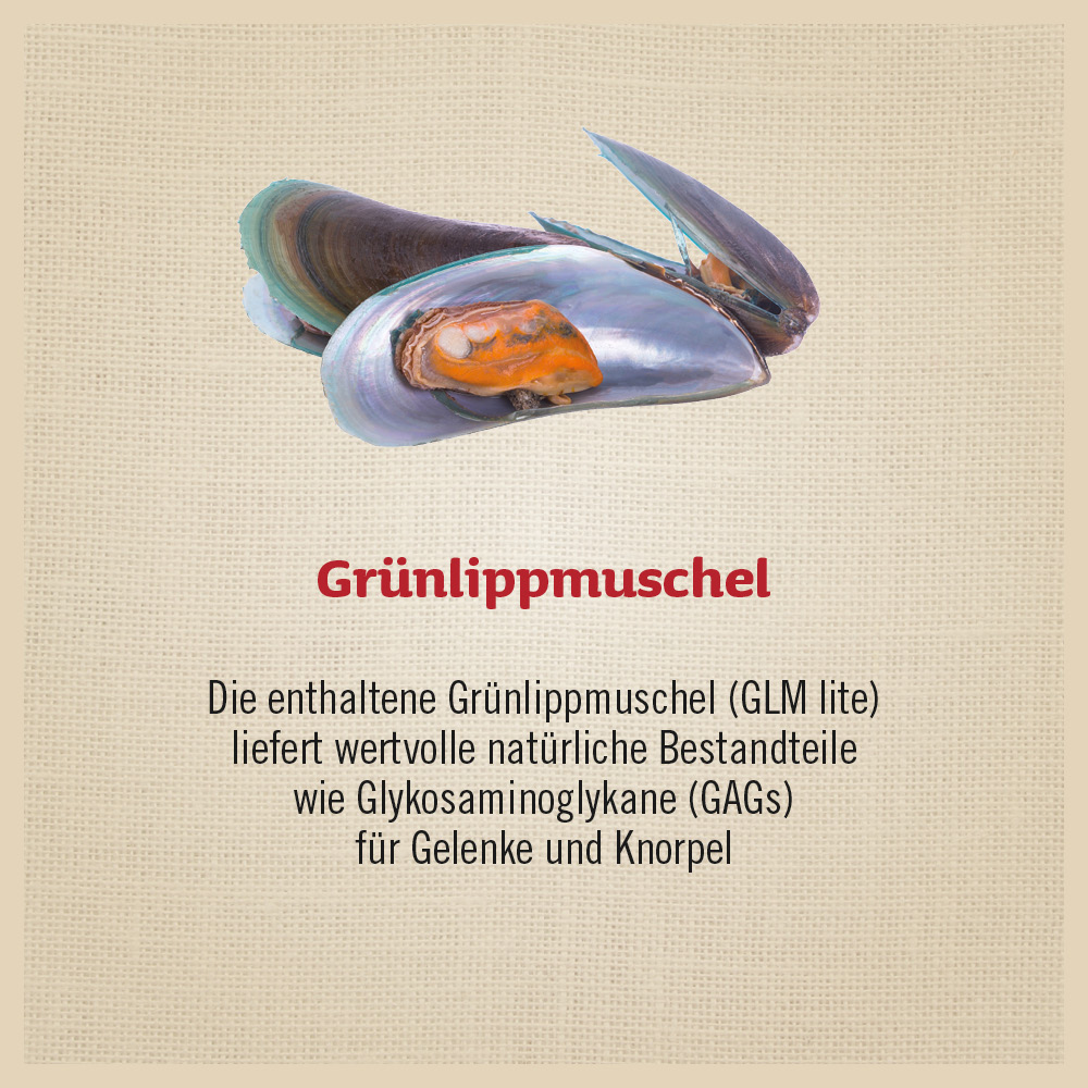 Sprungkraft
