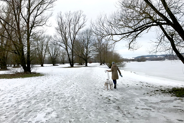 Wanderweg_Rottauensee_Blog2 Rundweg für Hunde um den Rottauensee